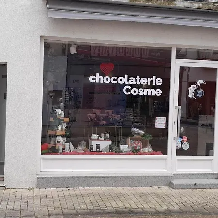 Au Citron En Hyper Centre Apartment *